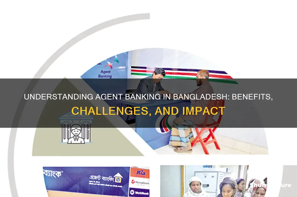 what is agent banking in bangladesh
