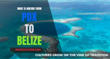 PDX to Belize: Unraveling the Airfare Mystery