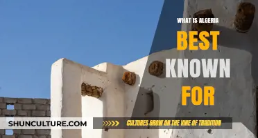 Algeria's Rich Heritage: Culture, History, and Natural Wonders Explored
