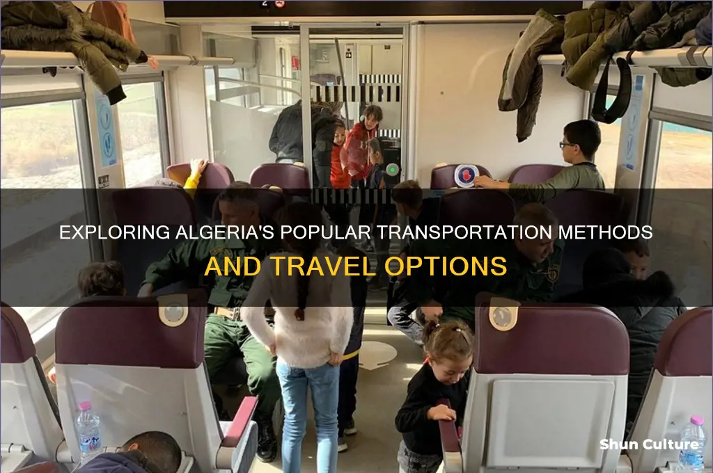 what is algeria commonly used for transportation