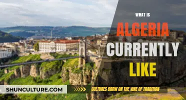 Exploring Modern Algeria: Culture, Economy, and Daily Life Today