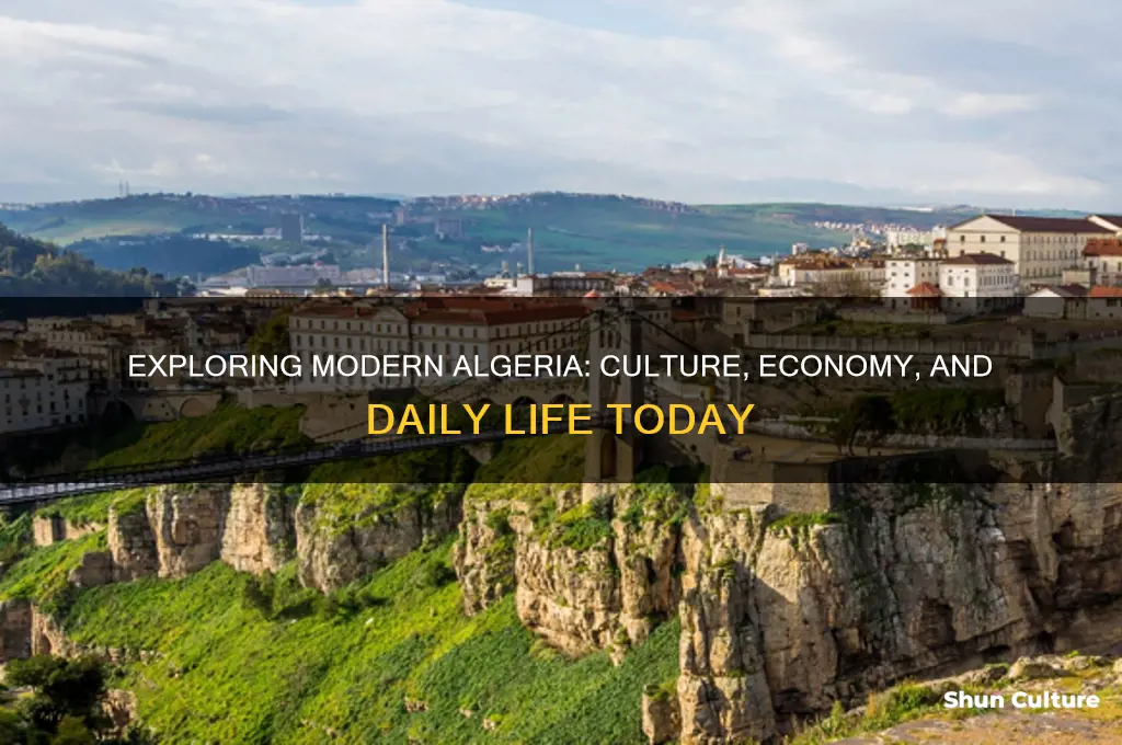 what is algeria currently like