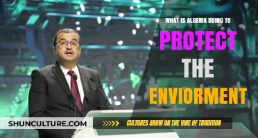 Algeria's Green Initiatives: Protecting the Environment Through Sustainable Efforts
