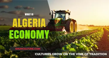 Exploring Algeria's Economy: Key Sectors, Challenges, and Growth Potential