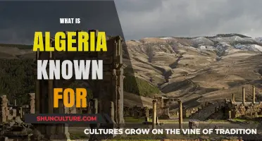 Algeria's Rich Culture, History, and Natural Wonders Explained