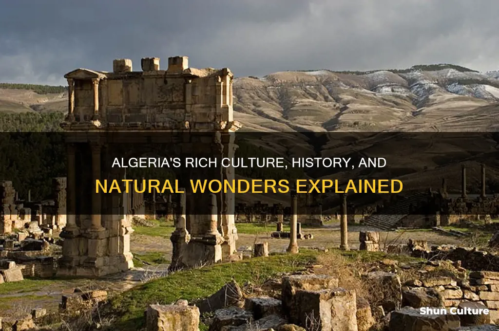 what is algeria known for