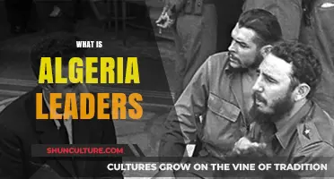 Exploring Algeria's Leadership: Key Figures and Their Impact on the Nation