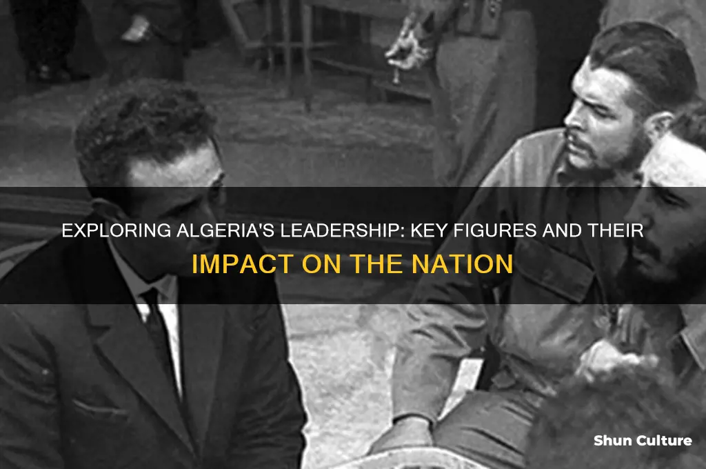 what is algeria leaders