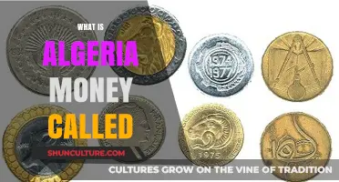 Understanding Algeria's Currency: What is the Algerian Money Called?