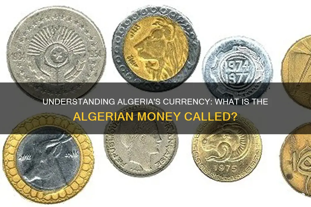 what is algeria money called