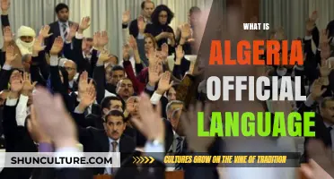 Exploring Algeria's Official Language: Arabic and Its Cultural Significance