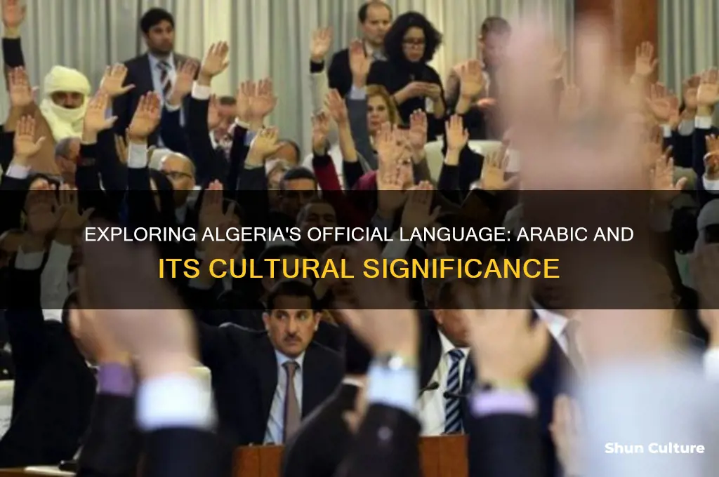what is algeria official language