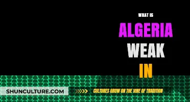 Algeria's Weaknesses: Key Challenges and Areas for Improvement
