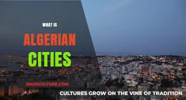 Exploring the Rich Culture and History of Algerian Cities