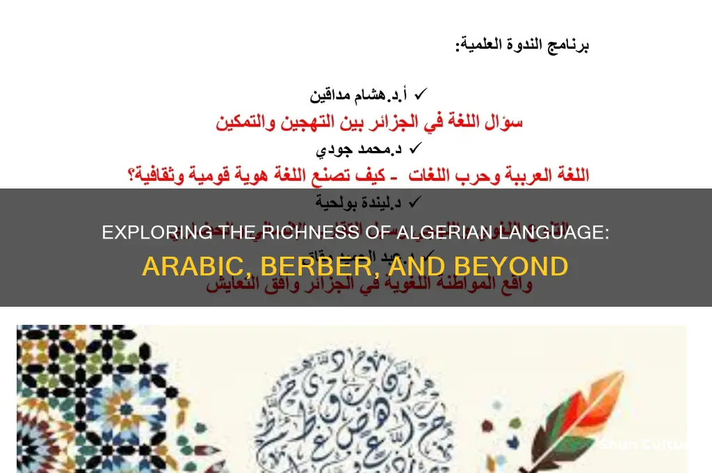 what is algerian language