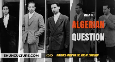 Understanding the Algerian Question: History, Context, and Significance Explained