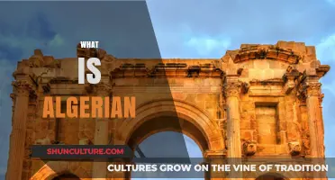 Exploring Algerian Culture, History, and Identity: What Makes Algeria Unique?