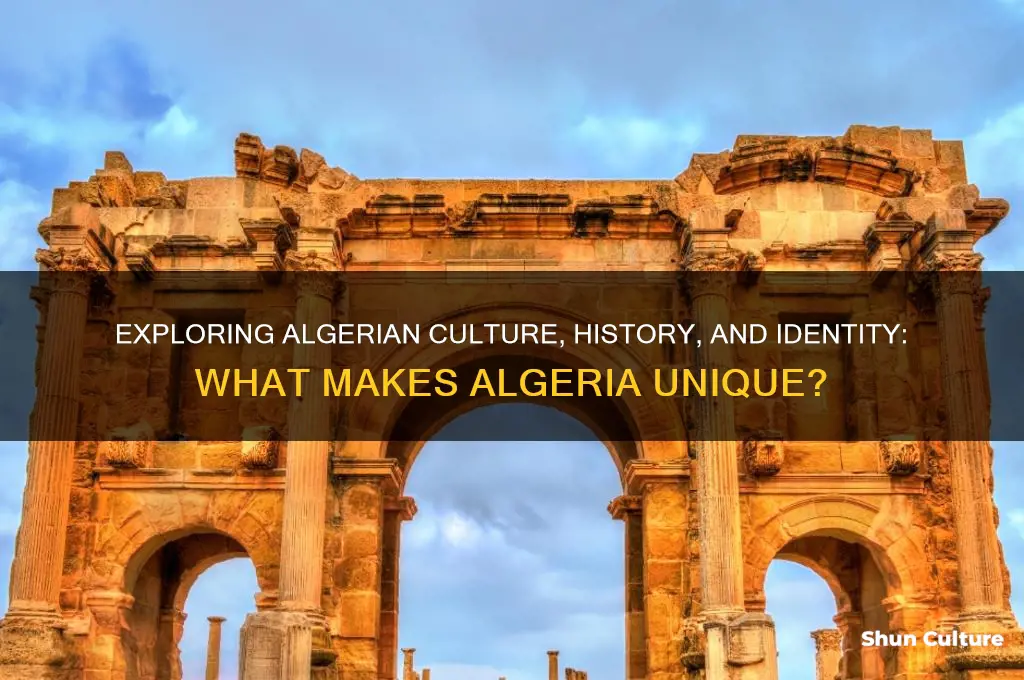 what is algerian