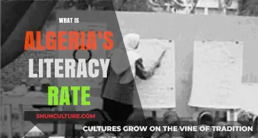 Exploring Algeria's Literacy Rate: Current Statistics and Educational Insights