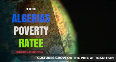 Understanding Algeria's Poverty Rate: Causes, Trends, and Solutions