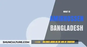 Unveiling Amirhossen Bangladesh: A Comprehensive Guide to His Impact and Legacy