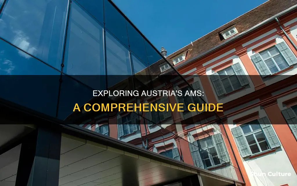 what is ams in austria