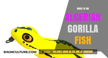 Unveiling the Algerian Gorilla Fish: A Unique Aquatic Species Explained