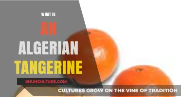 Discover the Unique Flavor and Origin of Algerian Tangerines