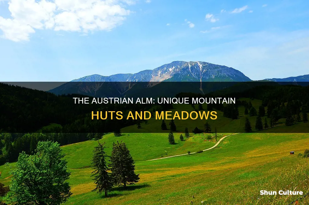 what is an alm in austria