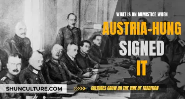 The Treaty of Armistice: Austria-Hungary's Peace Agreement