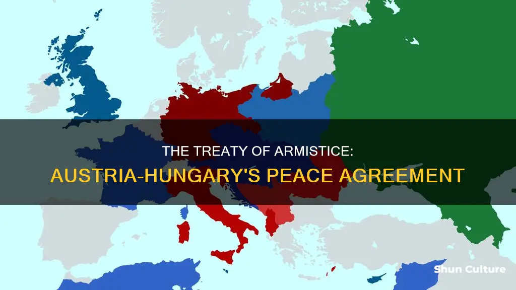 what is an armistice when austria-hungary signed it