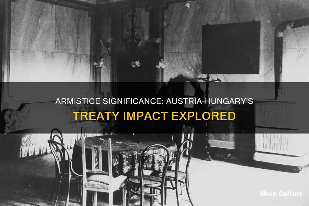 what is an armistice when austria-hungary signed it