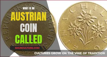 The Austrian Coin: Unveiling the Country's Currency