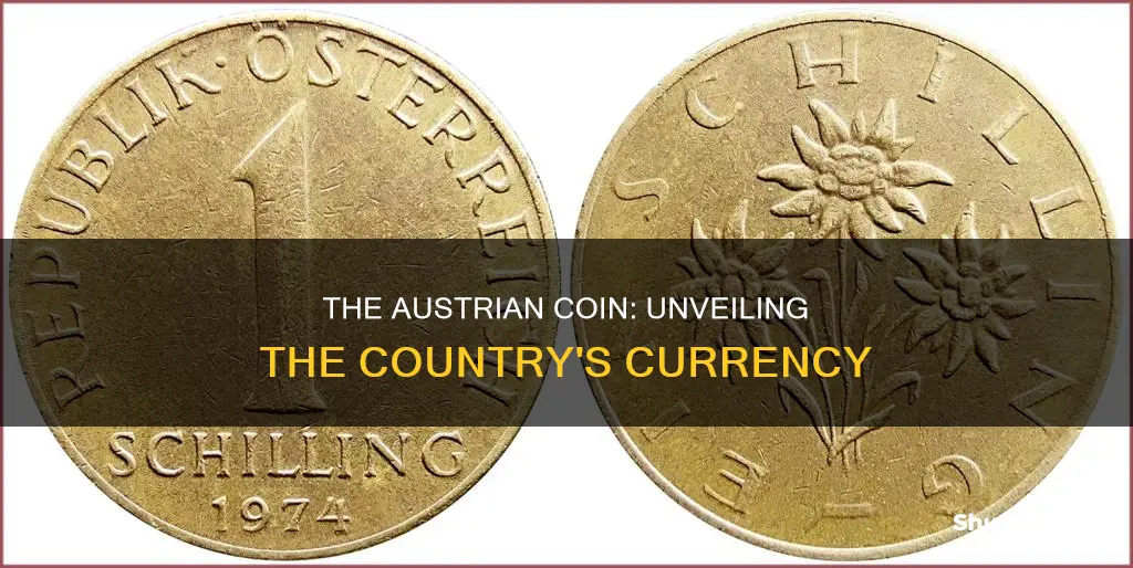 what is an austrian coin called