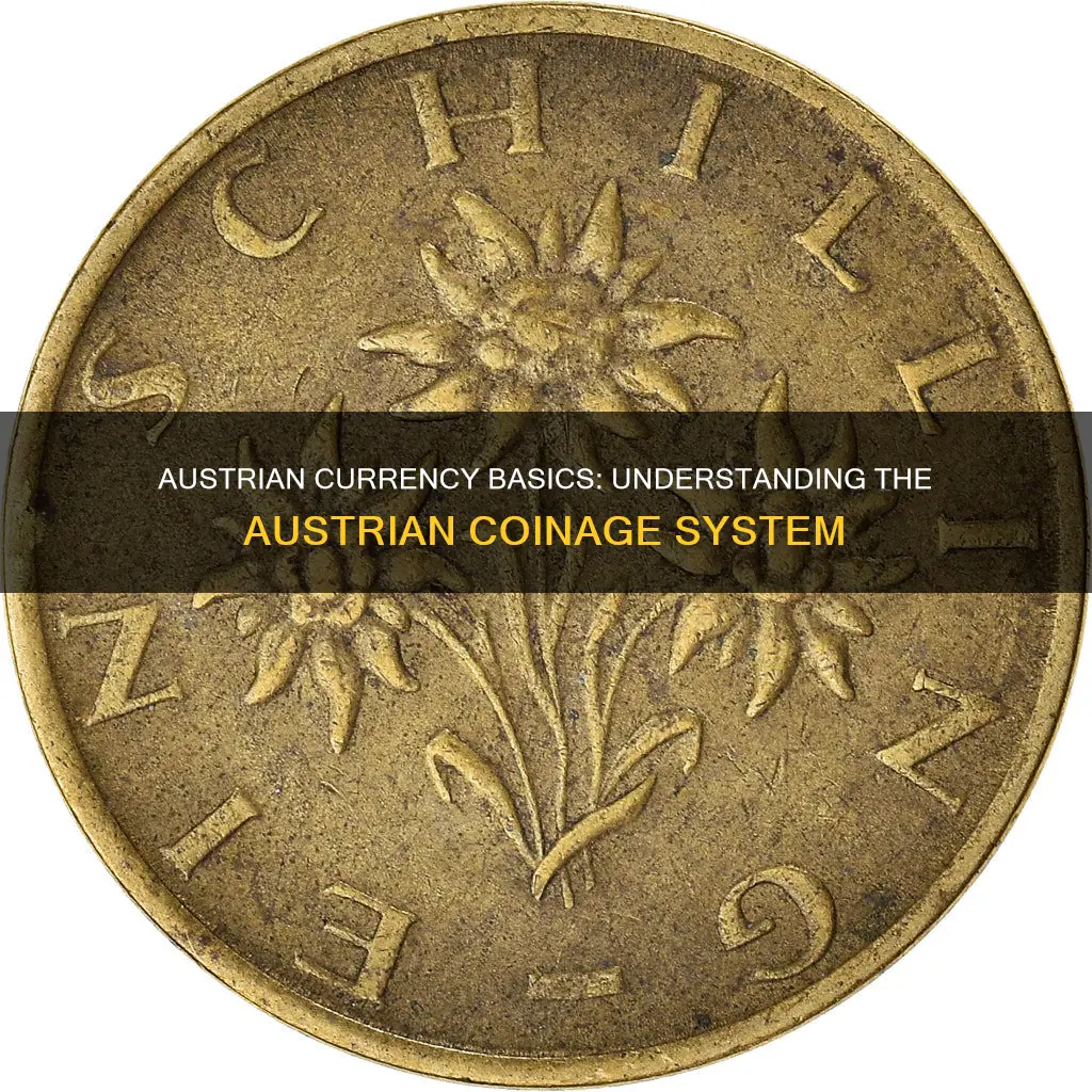 what is an austrian coin called