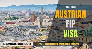 Unlocking the Austrian FIP Visa: Your Comprehensive Guide