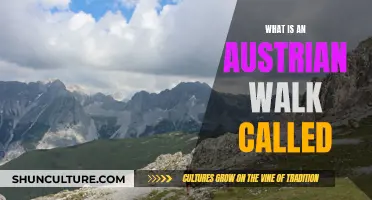 Exploring the Austrian Alpine Walk: A Unique Adventure