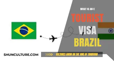 Understanding Brazil's E-Tourist Visa: A Comprehensive Guide for Travelers