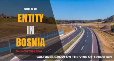 Understanding Entities in Bosnia: A Comprehensive Guide to Their Role and Structure