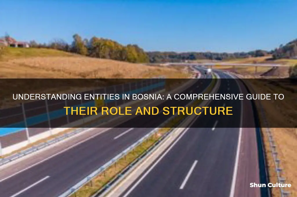 what is an entity in bosnia