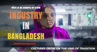 Emerging Sectors: Exploring Bangladesh's Thriving New Industry Examples