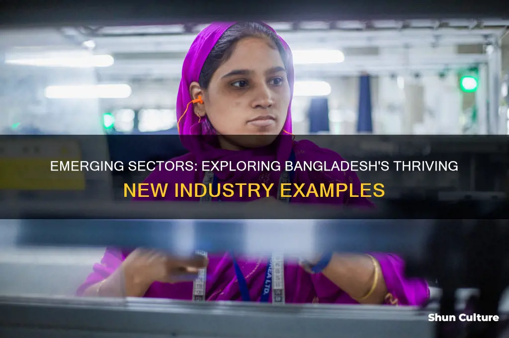 what is an example of a new industry in bangladesh