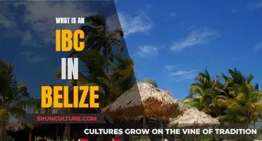 Understanding IBCs: The International Business Companies of Belize