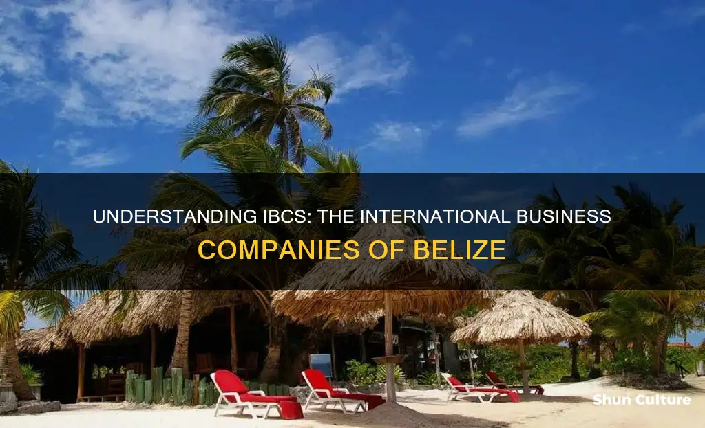 what is an ibc in belize