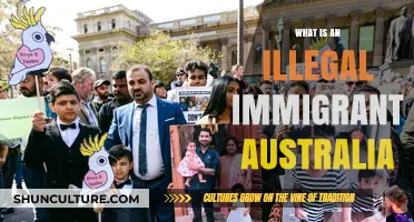 Australian Illegal Immigration: Understanding the Issue