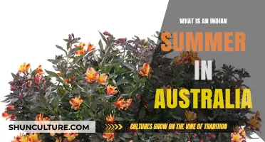 Indian Summer in Australia: A Warm Autumn Surprise