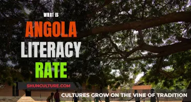 Angola's Literacy Rate: A Comprehensive Overview