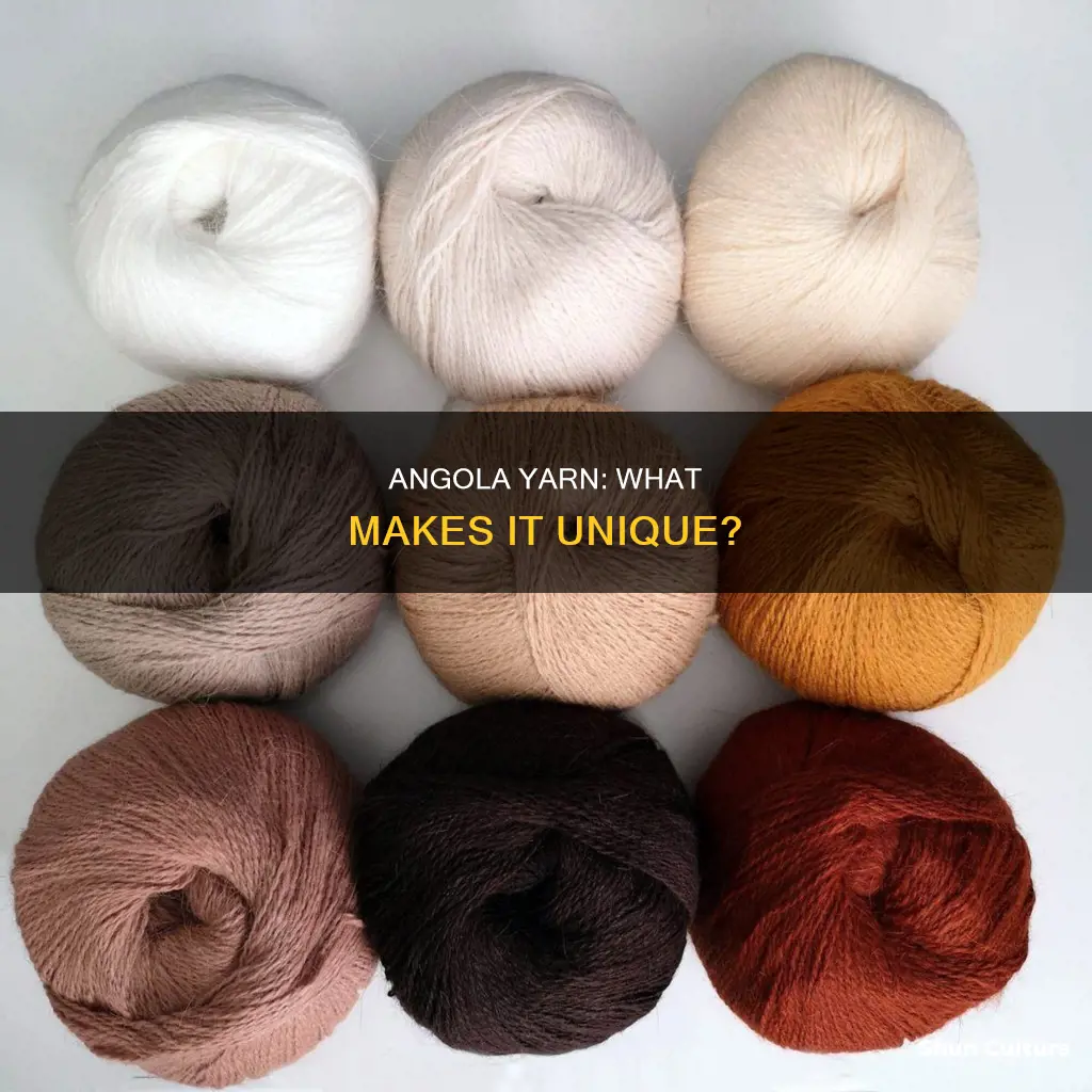 what is angola yarn