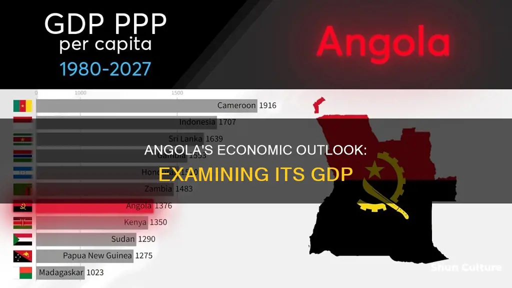 what is angola