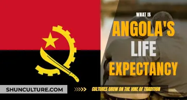 Life Expectancy in Angola: A Detailed Overview